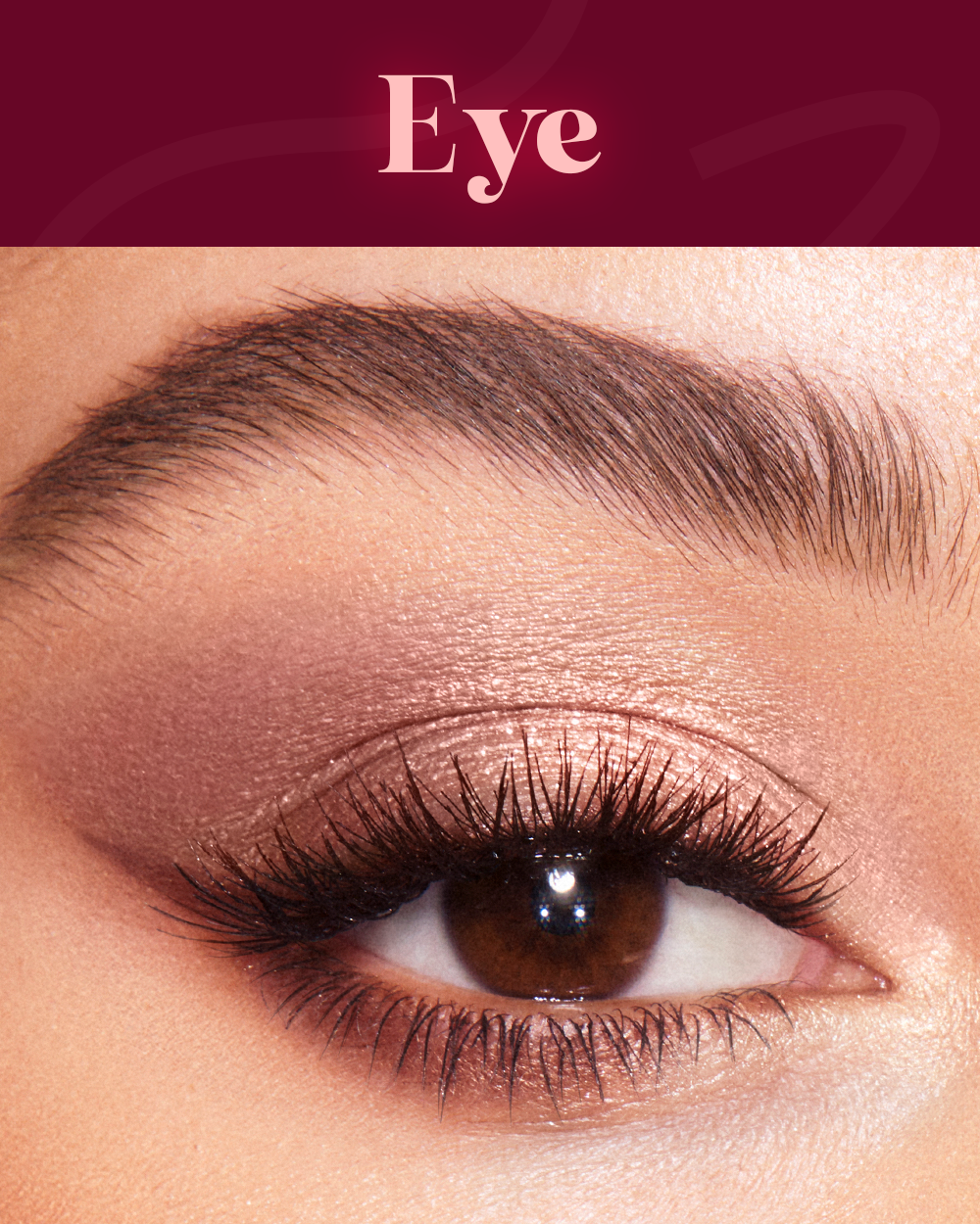 Eye